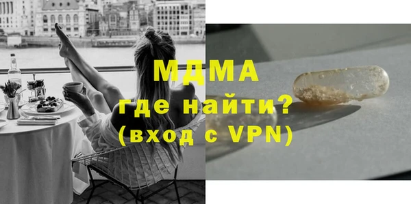 индика Няндома